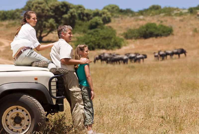 Family Safari Holidays in Tanzania 2026 – Complete Guide