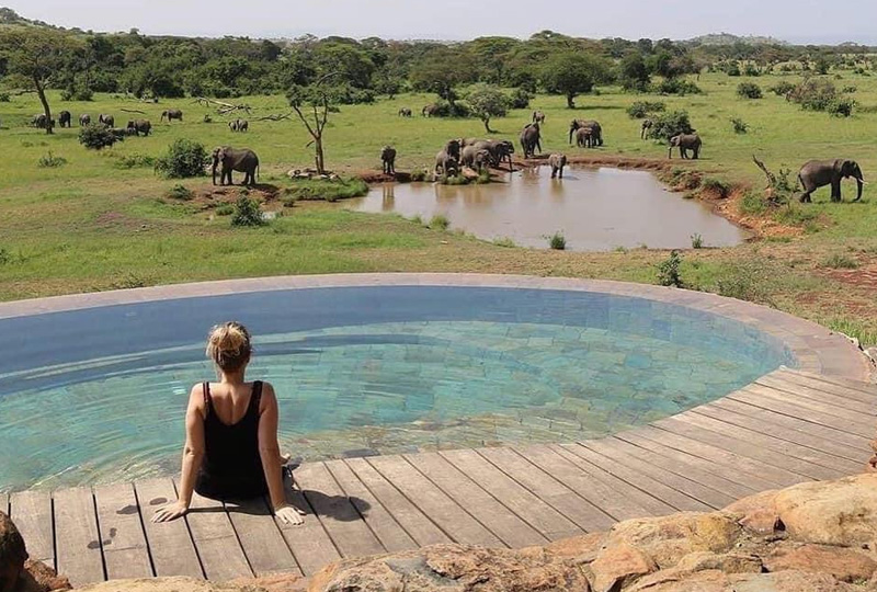 How Asian Travelers Can Combine Tanzania Safari with Zanzibar Holiday
