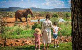 Tanzania Election Impact on Flights-Lodges & Safari Rates