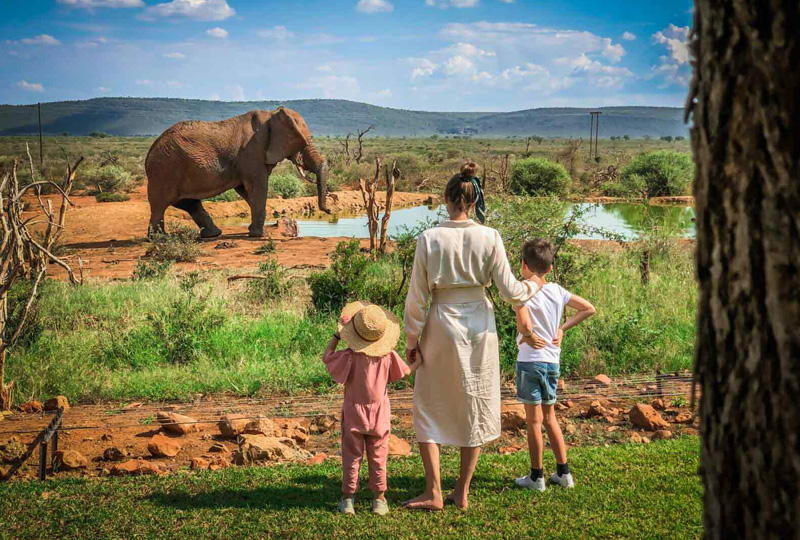 Tanzania Election Impact on Flights-Lodges & Safari Rates