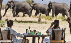 Tanzania Luxury Safari Packages for 2025–2026 Travelers