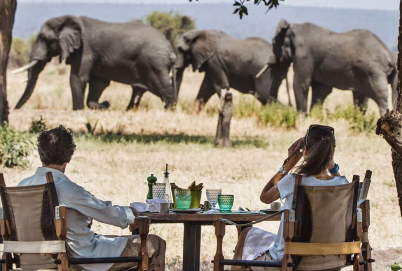 Tanzania Luxury Safari Packages for 2025–2026 Travelers