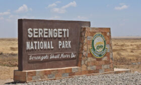 Tanzania Park Entry Fees 2025–2026 Explained