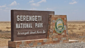 Tanzania Park Entry Fees 2025–2026 Explained