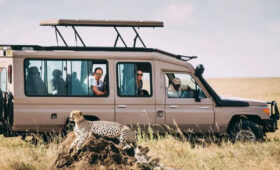 Tanzania Safari Cost Breakdown-How Much You Really Need