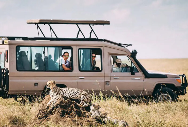 Tanzania Safari Cost Breakdown-How Much You Really Need