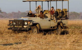 Tanzania Safari on a Budget 2026 – Best Value Packages