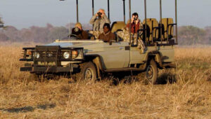 Tanzania Safari on a Budget 2026 – Best Value Packages