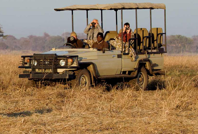Tanzania Safari on a Budget 2026 – Best Value Packages