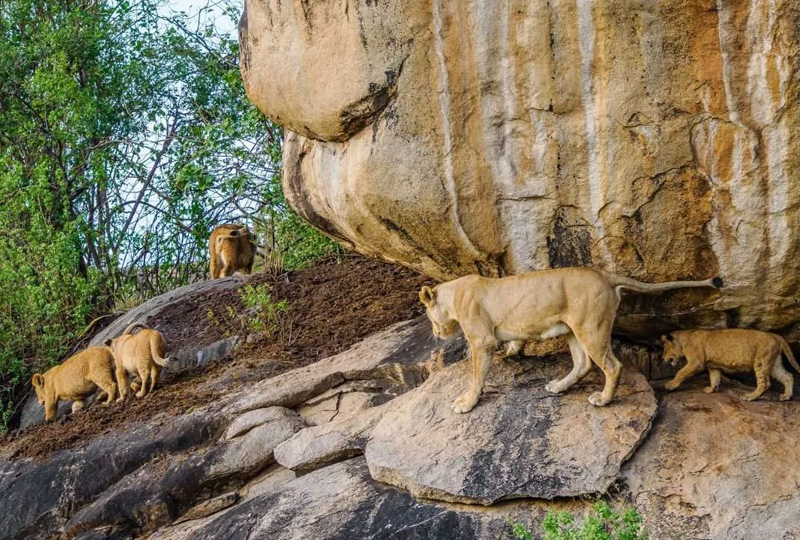 Tanzania Tourism Recovery 2026