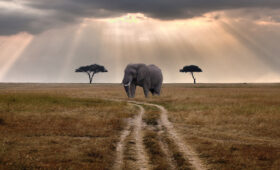 Tanzania Travel Tips for First-Time Visitors