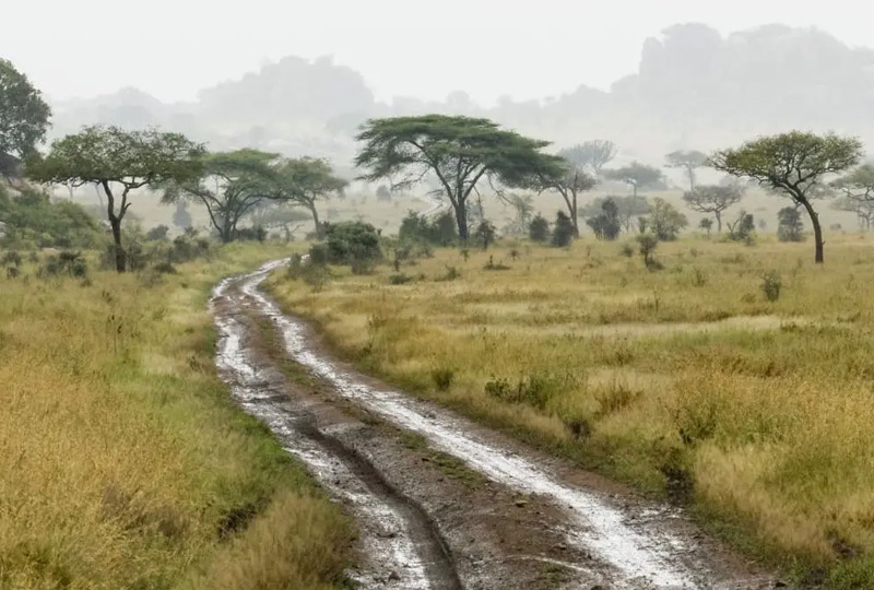 Tanzania weather guide 2026