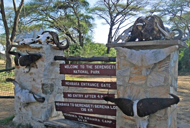 Tanzania in 2026-What to Expect for Safari Travelers