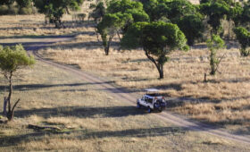 Tanzania’s Growing Popularity Among International Safari Travelers