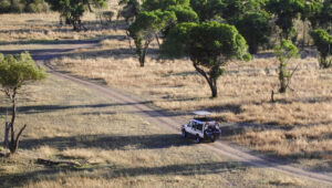 Tanzania’s Growing Popularity Among International Safari Travelers