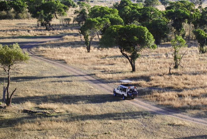 Tanzania’s Growing Popularity Among International Safari Travelers