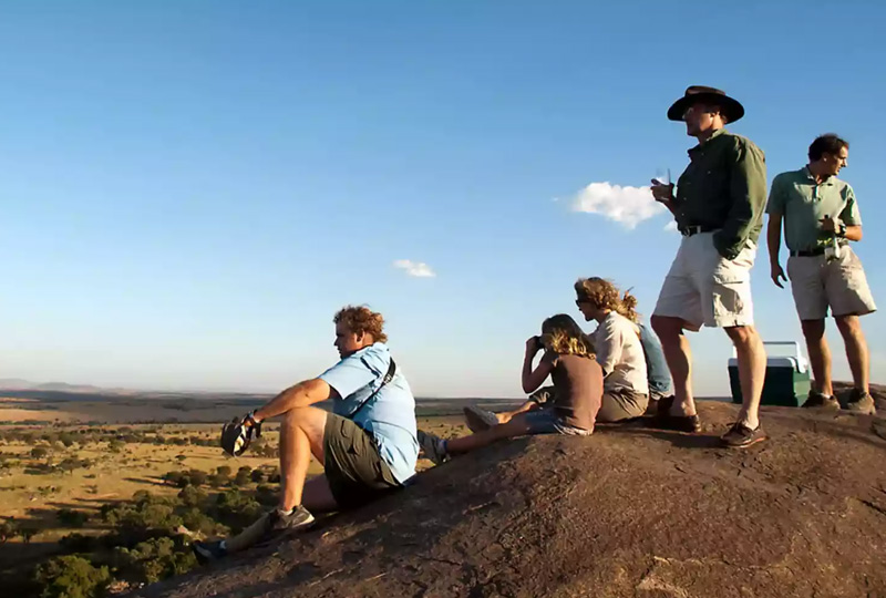 What Are the Latest Travel Advisories for Tanzania and How They Affect Your Safari Booking