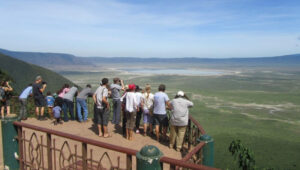 What Makes Tanzania the Most Stable Safari Destination in East Africa