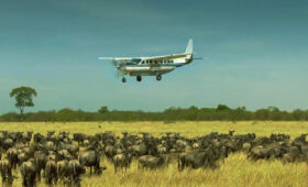 Why 2026 Could Be the Best Year Yet for Tanzania Safaris