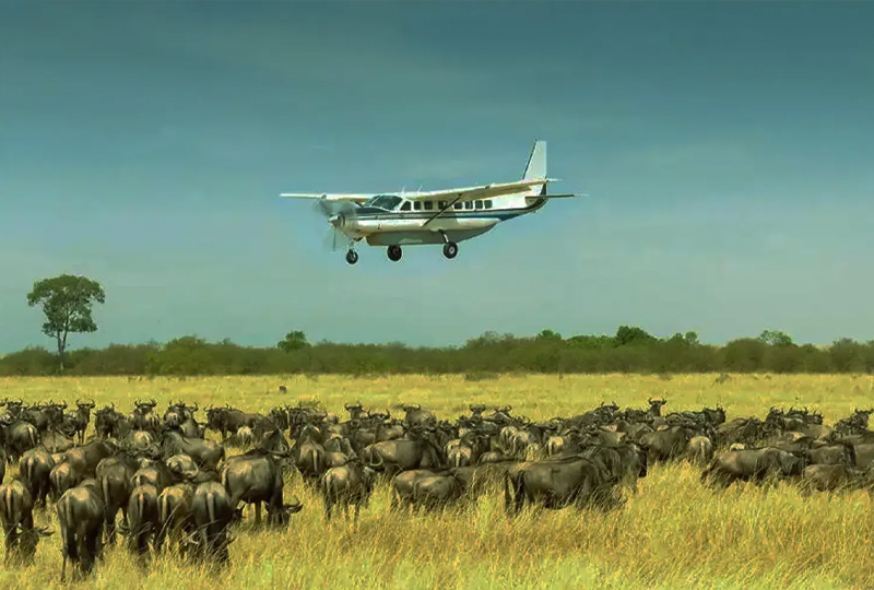 Why 2026 Could Be the Best Year Yet for Tanzania Safaris