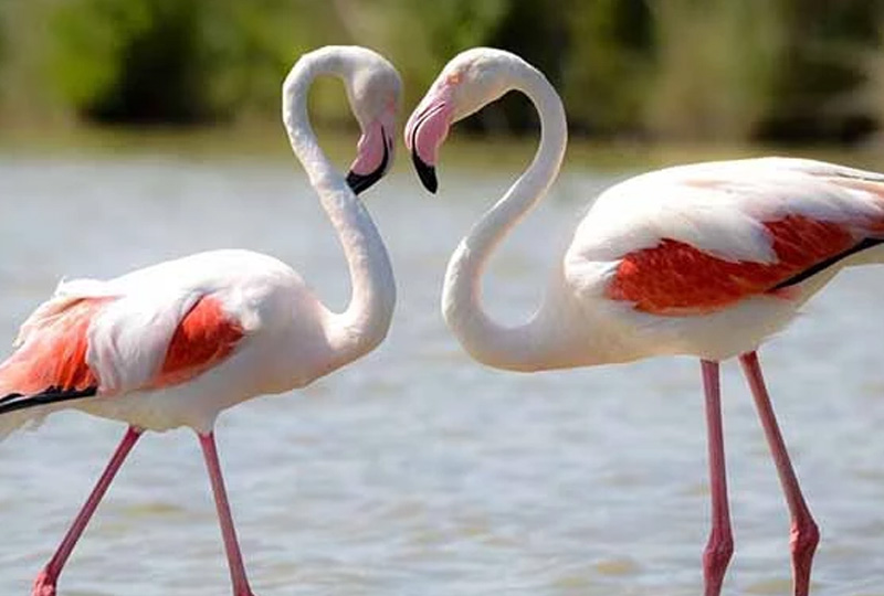 Why Tanzania Is the Best Honeymoon Destination After the Elections